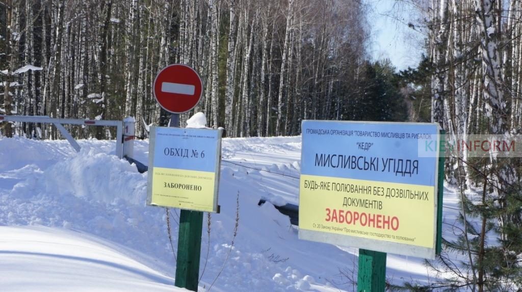 Умирающая природа Сухолучья: вырубка лесов, “царская” охота и коррупционные схемы