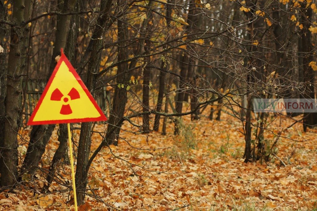 Чорнобильські ліси горіли через помсту
