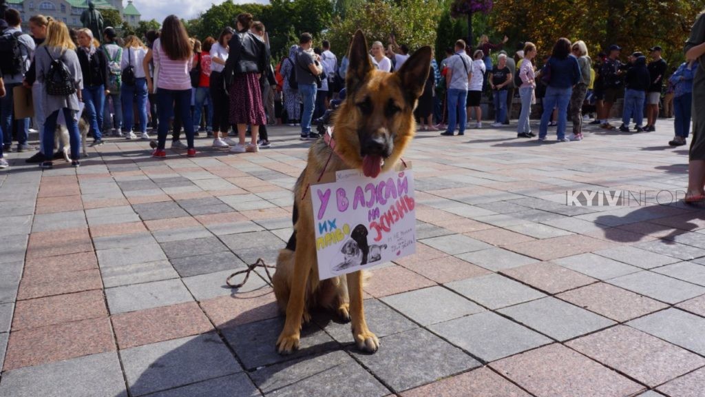 марш зоозахисників, марш за права тварин