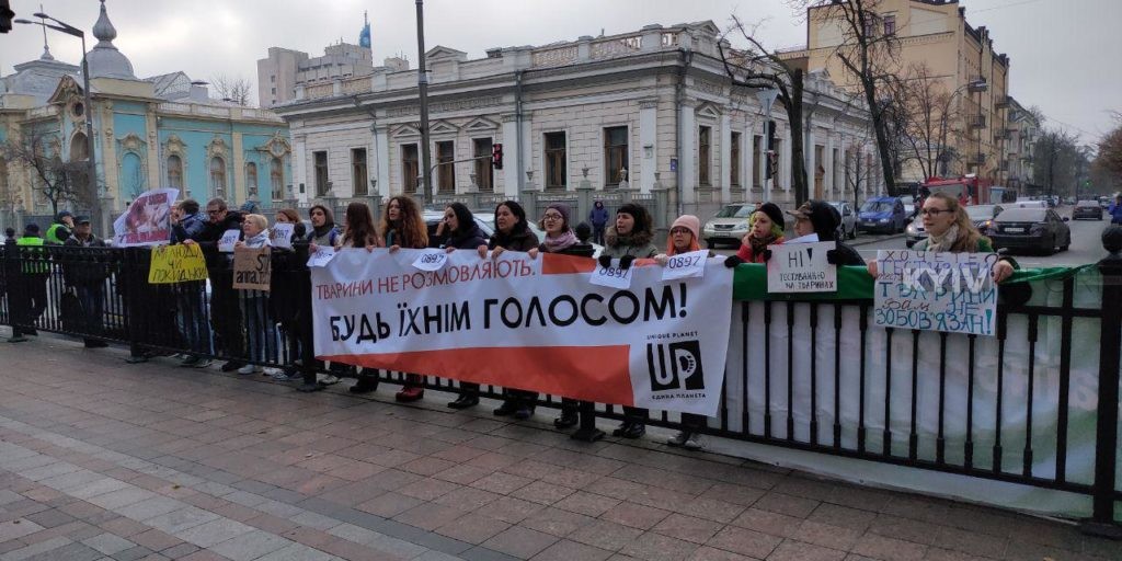 Під Радою протестують проти жорстокого поводження з тваринами