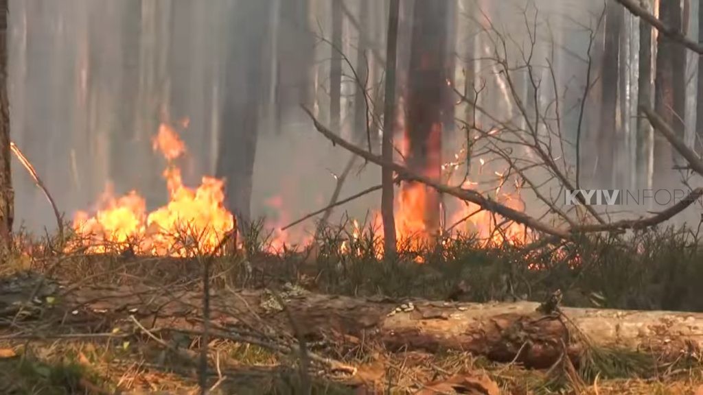Рада проголосувала за посилення штрафів для паліїв трави