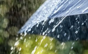 Погода в Киеве