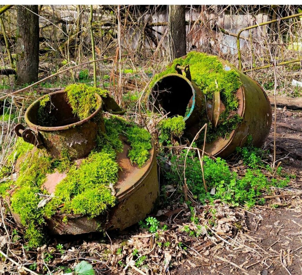 Чорнобильський заповідник додали до бази природоохоронних територій світу