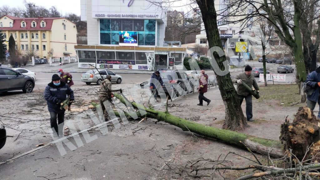 На вулиці Кудряшова від вітру на дорогу впало дерево та бетонний стовп