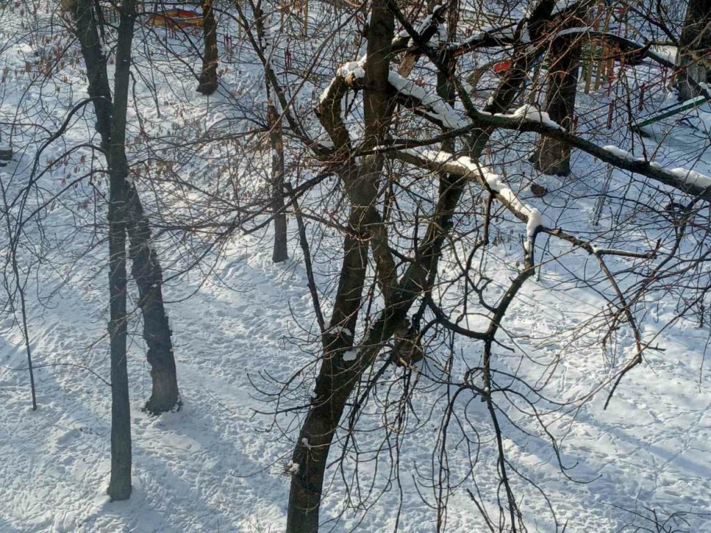 Київ накриє циклон Olaf: опубліковано свіжий прогноз погоди