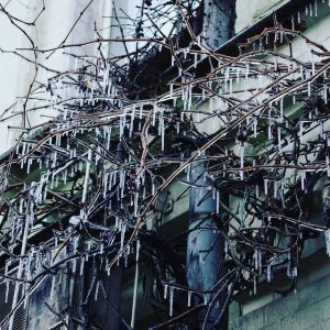 Мороз, лід, зима