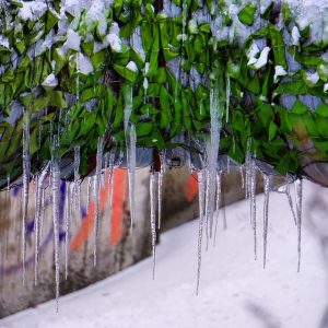 Сніг, лід, бурульки