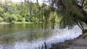 Голосієвський парк