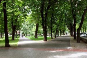 Павлівський сквер