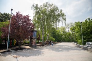 Пейзажна аллея