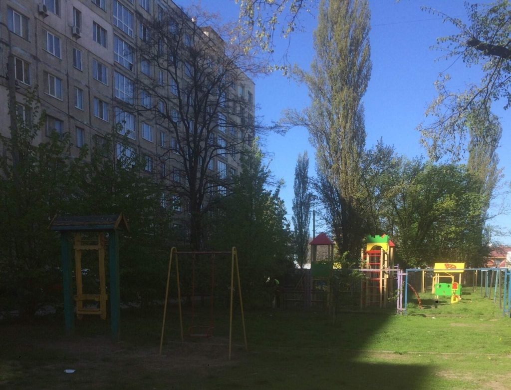 У Києві знайшли свиняче рило у пісочниці (ФОТО)