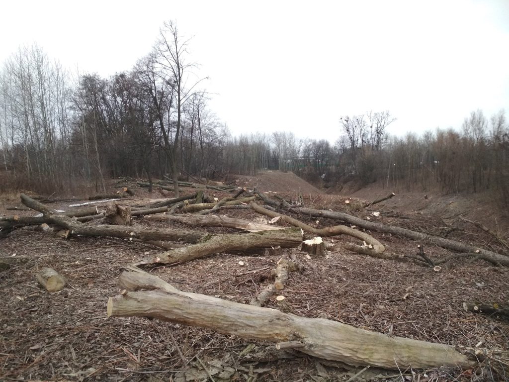 Забудовник через суд намагається повернути собі землю в Пирогово