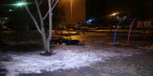 тіло людини