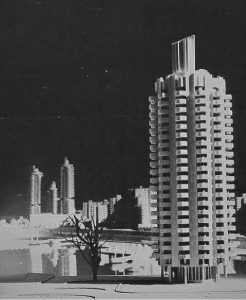 будинок-ромашка