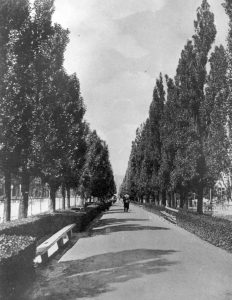 Бульвар Шевченко