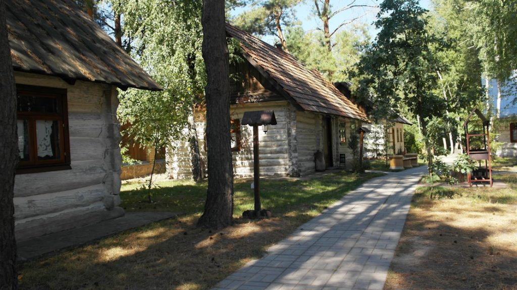 Українське село